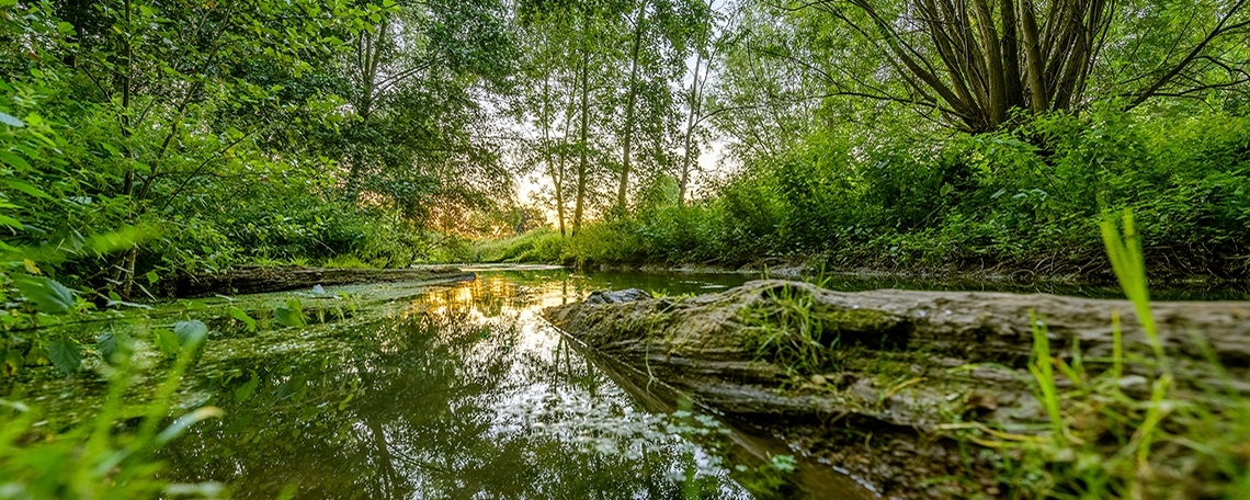 Bau-/Umwelt-/Verfahrensingenieur/in Siedlungswasserwirtschaft (m/w/d), 2. Bild