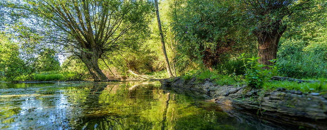 Fachkraft für Abwassertechnik (m/w/d), 2. Bild